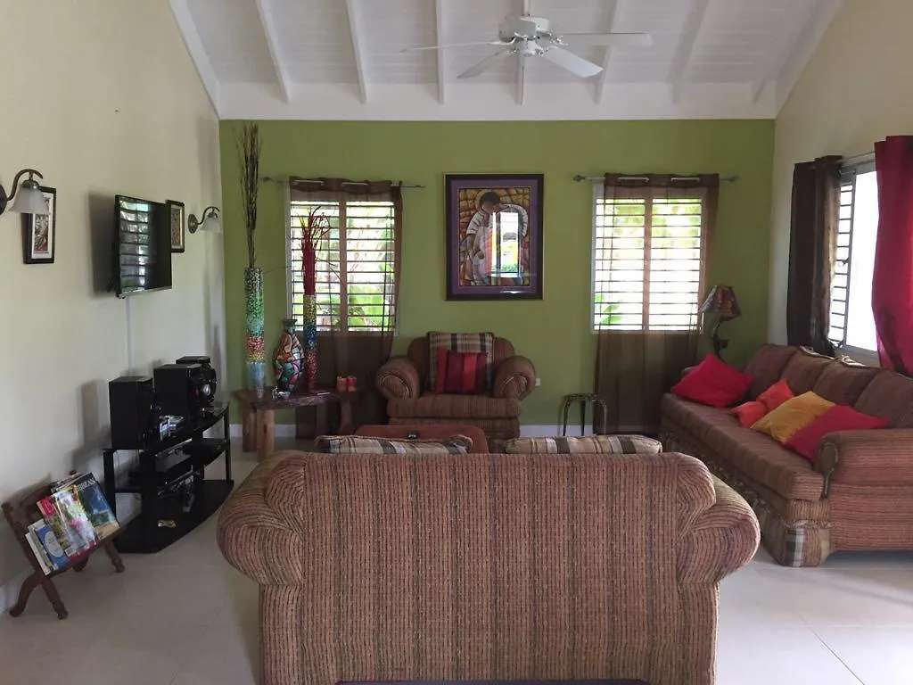 Ocho Rios Under The Palms II Villa
