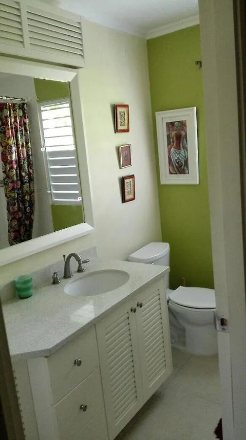 Ocho Rios Under The Palms II Villa